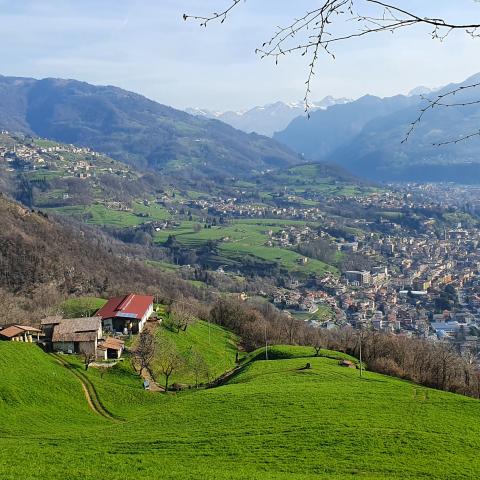 Foto nr. 14 Merà dall'alto, con i suoi pascoli e la vista sulla Valle - © G.S. Marinelli, riproduzione vietata.