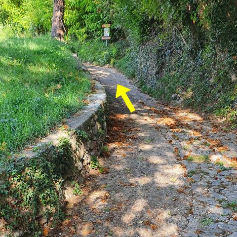 Foto nr. 1 Proseguiamo dritti su questo tratto di strada agrosilvopastorale - © G.S. Marinelli, riproduzione vietata.