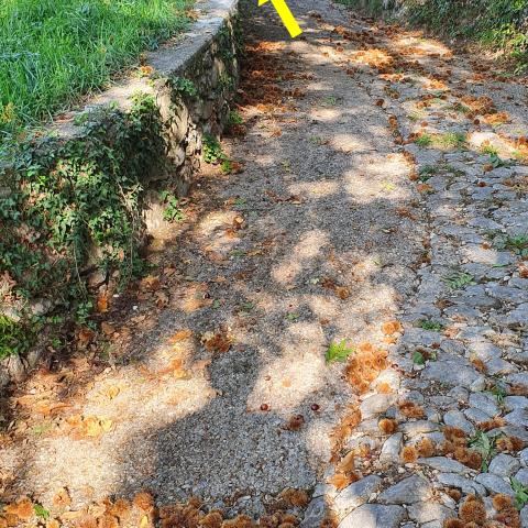 foto nr. 1 Proseguiamo dritti su questo tratto di strada agrosilvopastorale - © G.S. Marinelli, riproduzione vietata.