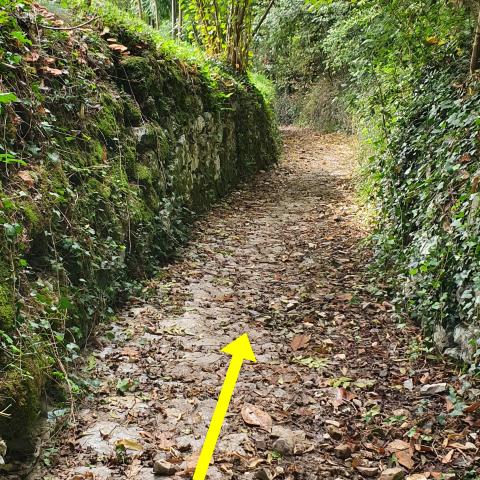 Foto nr. 10 alla fine diventa un comodo sentiero su fondo in cemento - © G.S. Marinelli, riproduzione vietata.