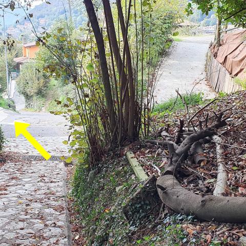 Foto nr. 11 chiamato “Strada Comunale di Gombel” - © G.S. Marinelli, riproduzione vietata.