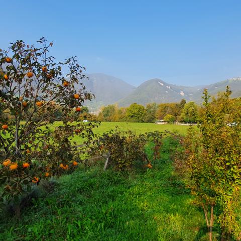 Foto nr. 12 vista sulla valle - © G.S. Marinelli, riproduzione vietata.