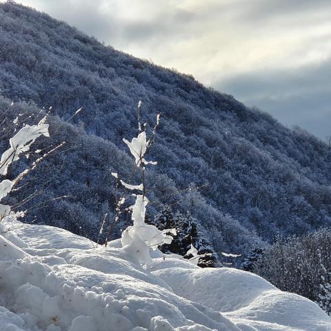  dopo una nevicata - © G.S. Marinelli, riproduzione vietata.