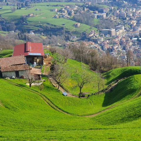  i pascoli attorno a Merà - © G.S. Marinelli, riproduzione vietata.