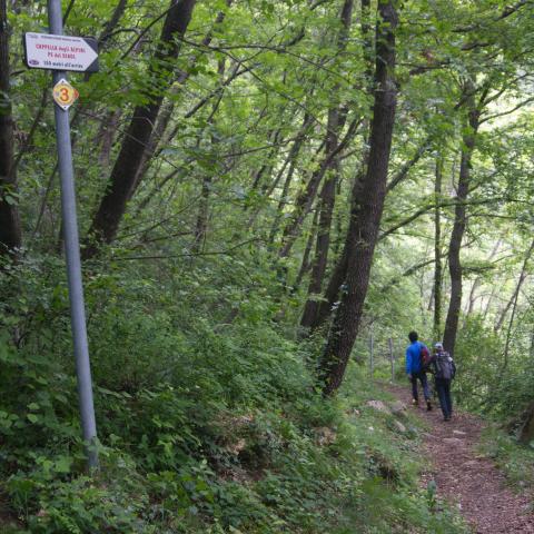  in cammino verso il Pé del Diaol - © G.S. Marinelli, riproduzione vietata.