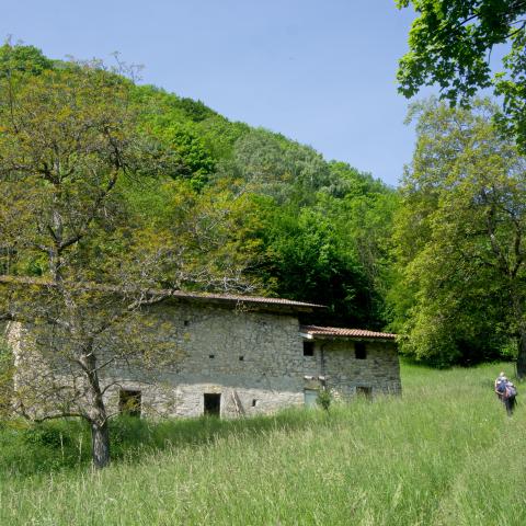  località i Guasc - © G.S. Marinelli, riproduzione vietata.