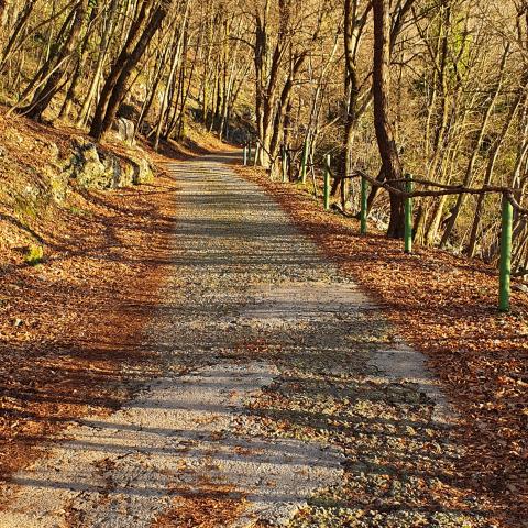 Foto nr. 3 via Perola procede in ripida salita - © G.S. Marinelli, riproduzione vietata.