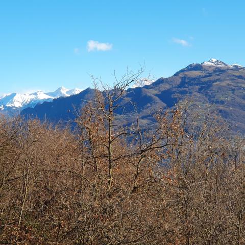 Foto nr. 18 panorama verso il Formico - © G.S. Marinelli, riproduzione vietata.