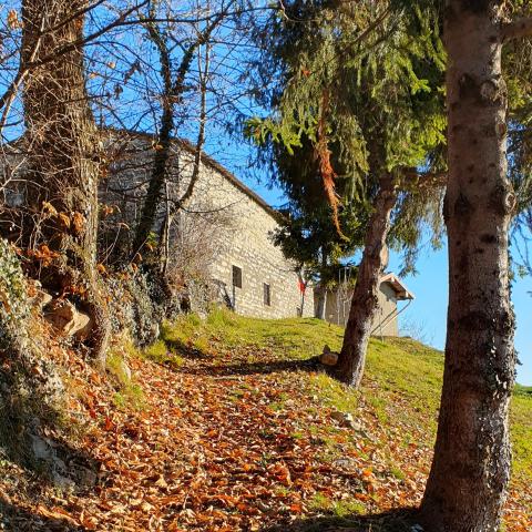 Foto nr. 5 dopo la seconda curva si stacca il sentiero che conduce alla baita in località Pradel - © G.S. Marinelli, riproduzione vietata.