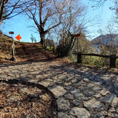 Foto nr. 9 sulla destra c'è la strada di accesso alla baita Pradel e la deviazione per chi prosegue sul sentiero nr. 6 Agostino Noris - © G.S. Marinelli, riproduzione vietata.