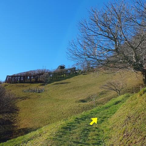 Foto nr. 11 il roccolo nei pressi della baita - © G.S. Marinelli, riproduzione vietata.