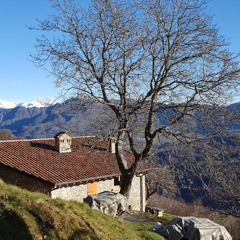 Foto nr. 9 la bella baita Corté, oggetto di recente ristrutturazione - © G.S. Marinelli, riproduzione vietata.