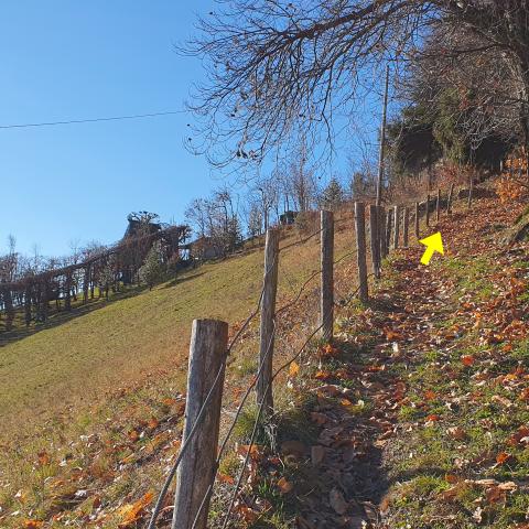 Foto nr. 5 Il sentiero adesso costeggia il capanno fisso di caccia nr. 629  - © G.S. Marinelli, riproduzione vietata.