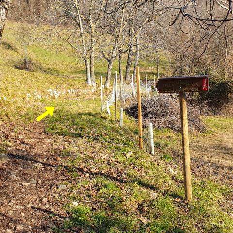 Foto nr. 3 la superiamo, seguendo il cartello, su un tratto quasi piano - © G.S. Marinelli, riproduzione vietata.