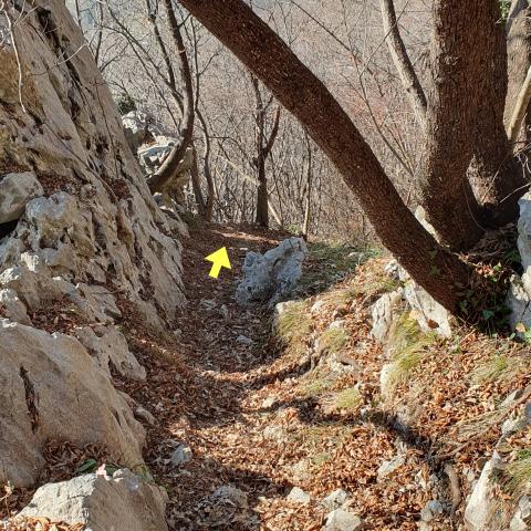 Foto nr. 6 ci incanaliamo tra le rocce - © G.S. Marinelli, riproduzione vietata.