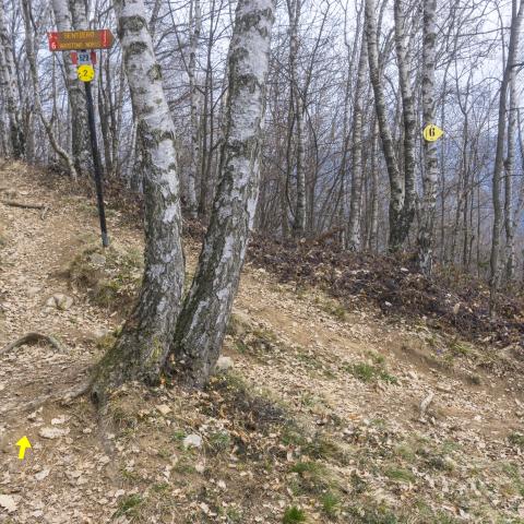 Foto nr. 12 arriviamo al cartello che ci indica di scendere verso la Croce di San Luigi - © G.S. Marinelli, riproduzione vietata.