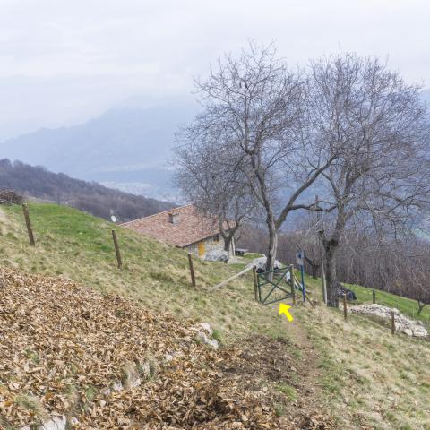 Foto nr. 5 il sentiero scende alla baita in località Corteno - © G.S. Marinelli, riproduzione vietata.