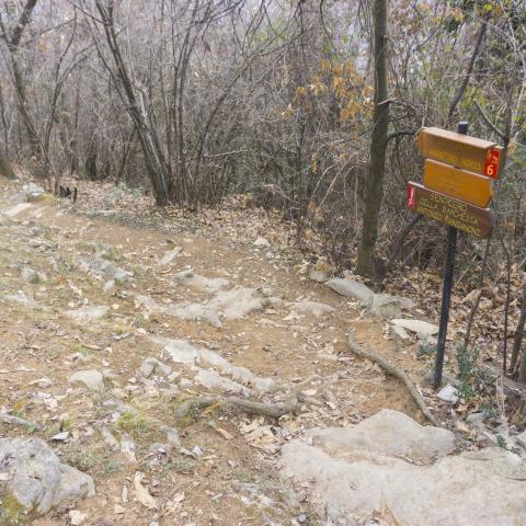 Foto nr. 2 ci immettiamo sul sentiero della Barchessa, svoltando a sinistra, verso valle - © G.S. Marinelli, riproduzione vietata.