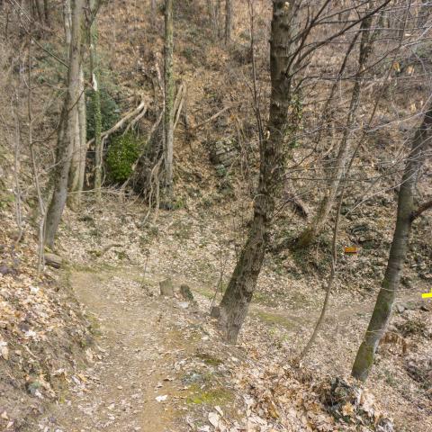 Foto nr. 3 arriviamo alla Valle della Barchessa - © G.S. Marinelli, riproduzione vietata.