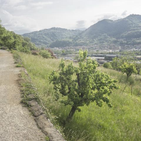 Foto nr. 6 in un primo tratto scoperto offre una bella vista sulla valle - © G.S. Marinelli, riproduzione vietata.