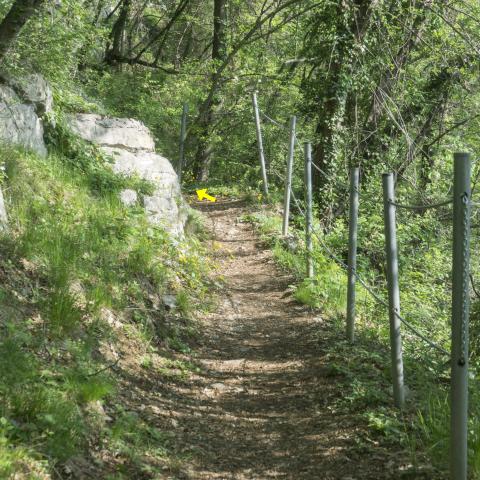 toto nr. 12 superiamo un tratto protetto da paletti in ferro e catene - © G.S. Marinelli, riproduzione vietata.