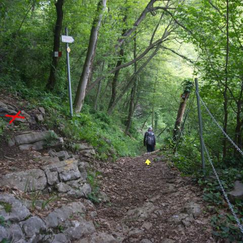 Foto nr. 13 oltrepassiamo un secondo bivio sulla nostra sinistra, che conduce alla Baita dei Tro - © G.S. Marinelli, riproduzione vietata.