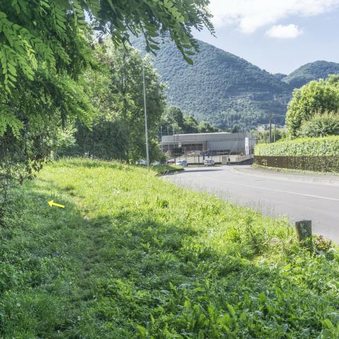 Foto nr. 11 costeggiamo il Viale mantenendoci sul sentiero - © G.S. Marinelli, riproduzione vietata.