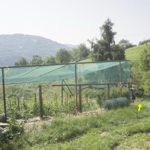 foto nr. 14 passiamo tra le case e ci dirigiamo verso la fontana di abbeveraggio - © G.S. Marinelli, riproduzione vietata.