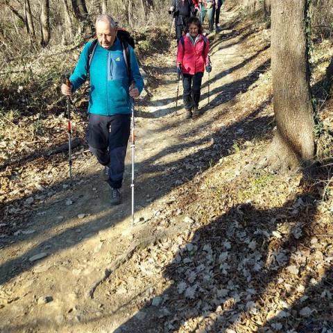 discesa dal Monte Crosaccia in direzione di Mondonico  - © G.S. Marinelli, riproduzione vietata.