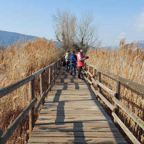 Inizio percorso sud delle Torbiere del Sebino  - © G.S. Marinelli, riproduzione vietata.