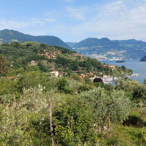 Colle Montecolo e porto di Pilzone  - © G.S. Marinelli, riproduzione vietata.