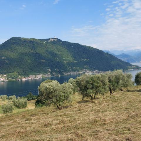 Montisola vista da Maspiano  - © G.S. Marinelli, riproduzione vietata.