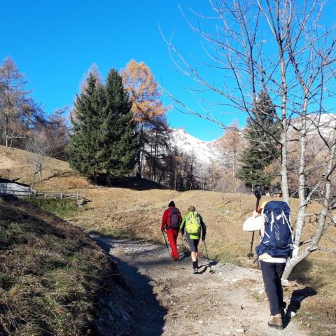 Lasciata baita Iseo si parte per il passo dei Campelli  - © G.S. Marinelli, riproduzione vietata.