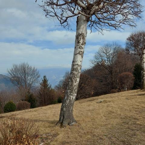 sotto il colle "La Rolla  - © G.S. Marinelli, riproduzione vietata.