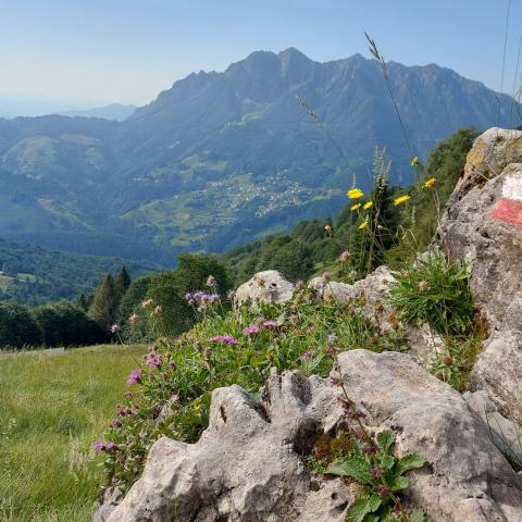 Vista verso il Monte Alben  - © G.S. Marinelli, riproduzione vietata.