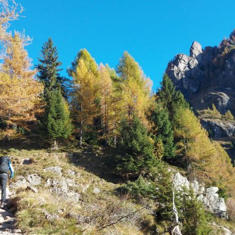 siamo sul sentiero CAI 410 Bueggio-Diga del Gleno  - © G.S. Marinelli, riproduzione vietata.