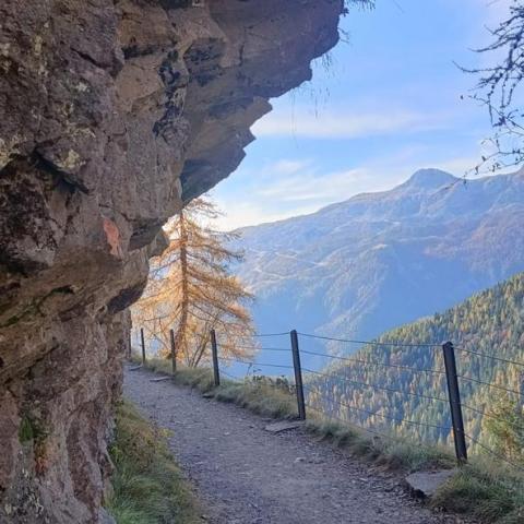 Sul sentiero del rientro CAI 411 verso Pianezza   - © G.S. Marinelli, riproduzione vietata.