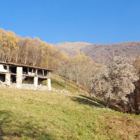 Alpe Crevesto di sopra (m 1015)  - © G.S. Marinelli, riproduzione vietata.