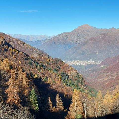 Da Bocchetta d'Olino vista verso Premana    - © G.S. Marinelli, riproduzione vietata.