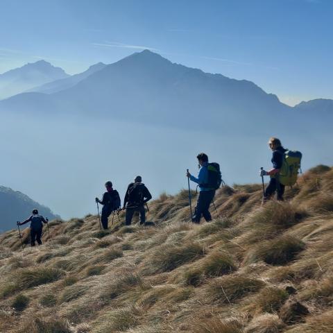 Lungo la dorsale ovest di Alpe Agoredo  - © G.S. Marinelli, riproduzione vietata.