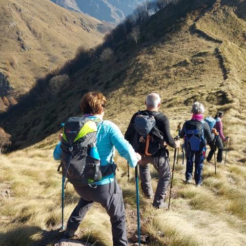 Lungo la dorsale ovest di Alpe Agoredo  - © G.S. Marinelli, riproduzione vietata.