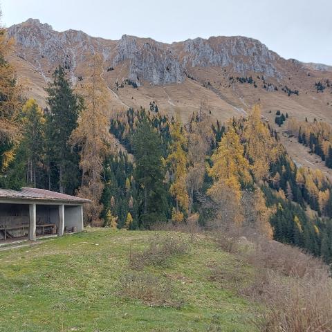 Malga Zumella (m 1565)  - © G.S. Marinelli, riproduzione vietata.