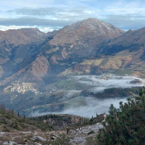 Salita verso Col Brassamonti - Vista verso Arera  - © G.S. Marinelli, riproduzione vietata.