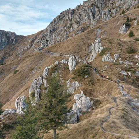 dal Col dei Brassamonti verso Passo della Forca  - © G.S. Marinelli, riproduzione vietata.