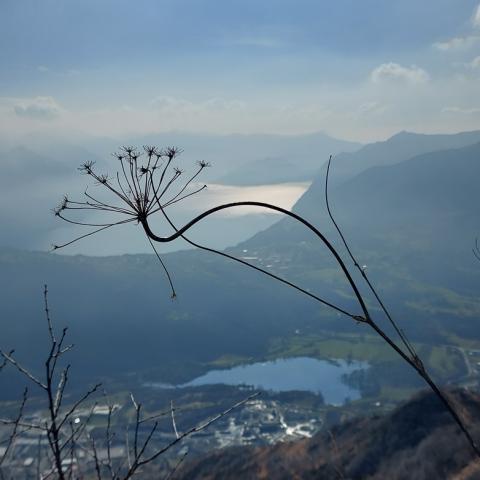 Fiori sul percorso di oggi  - © G.S. Marinelli, riproduzione vietata.