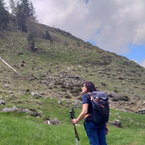 Alcuni verso il Passo degli Omini, altri diretti alla Baita di fontanamora  - © G.S. Marinelli, riproduzione vietata.