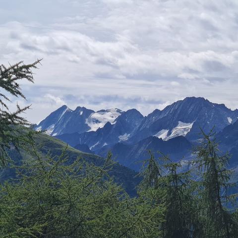 Vista sul gr. Adamello  - © G.S. Marinelli, riproduzione vietata.