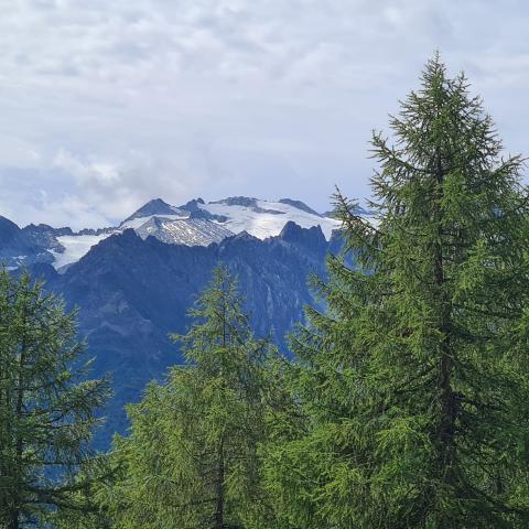 vista sul gruppo Adamello  - © G.S. Marinelli, riproduzione vietata.