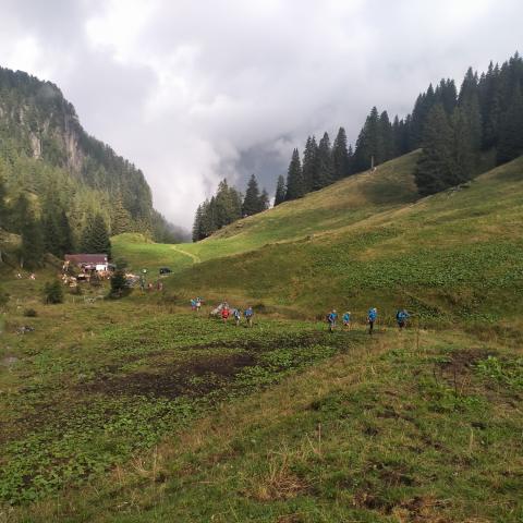 Lungo il pascolo della Val Terzera  - © G.S. Marinelli, riproduzione vietata.