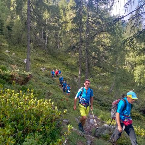 ....attraverso un bosco di abeti  - © G.S. Marinelli, riproduzione vietata.